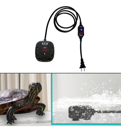 Protección Del Calentador Del Tanque De Tortuga De 25w