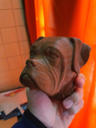 Perro Boxer Busto Impresión 3d!