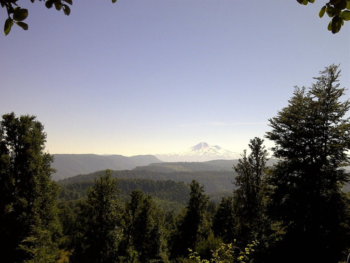 Cunco, Campo Apto Conservación