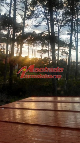Imagen 4 de 14 de Casa En Venta De 4 Dormitorios En Punta Ballena