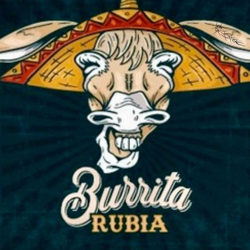 Cerveza Burrita Rubia Artesanal Pack X3 s Previa