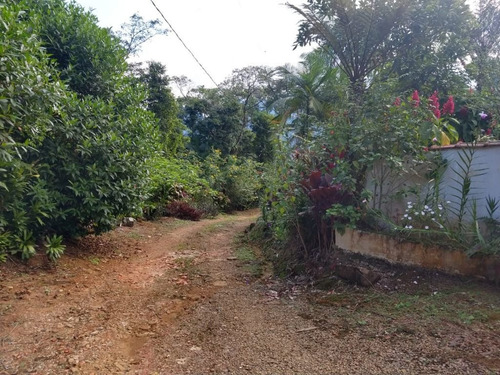 Imagem 26 de 28 de Linda Chácara No São João Da Graciosa Em Morretes-3.661,00 Metros - Ch0146