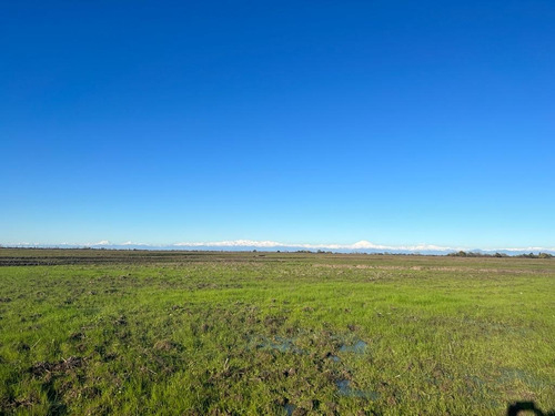 Campo Agrícola 44 Hects + 22,5 Accs D Agua. Parral-cauquenes