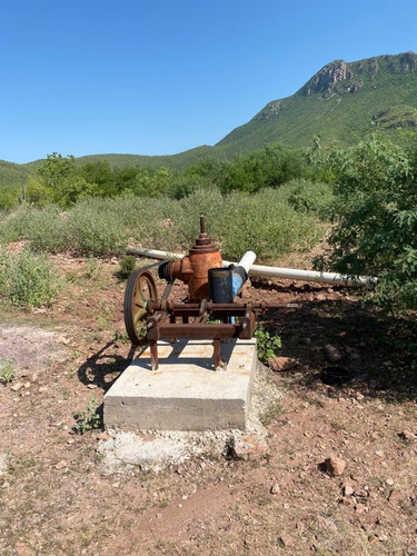 Terreno Ejidal En Tosalibampo, Ahome, Sin.