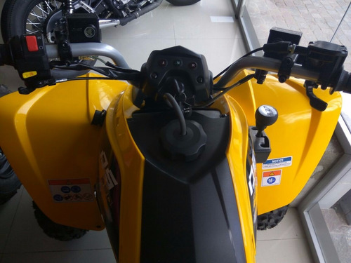 Can Am Ds 250 0km Cuatriciclo 250cc Cuatri 999 Motos