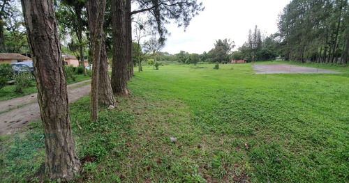 Imagem 6 de 15 de Área Para Venda Em Ribeirão Pires, Vila Luzitania - 431_1-2185964