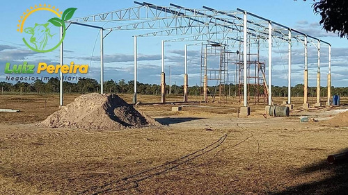 Imagem 4 de 13 de Fazenda Em Taipas - To - 2.080 Hec - Agricultura - 1916