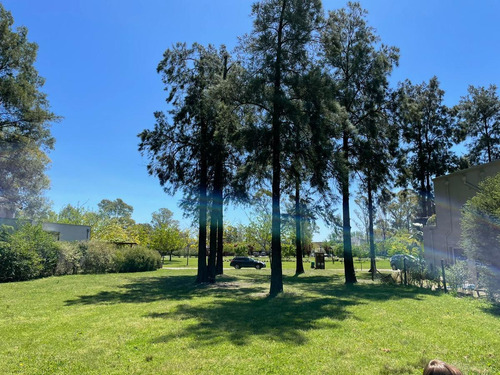 Imagen 1 de 4 de Terreno - El Encuentro