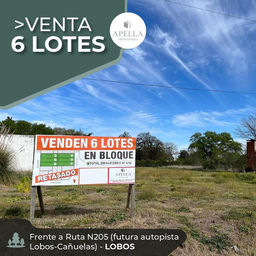 Venta - 6 Lotes En Bloque Sobre Ruta 205 - Lobos