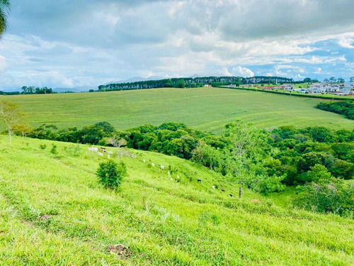 Imagem 3 de 3 de G.e01 Lote Para Venda Tem 500 Metros Quadrados.