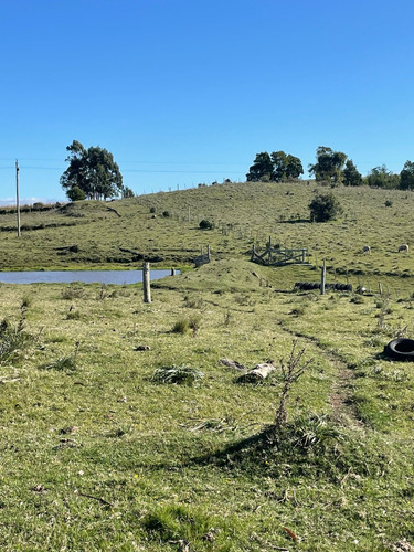 Campo De 11 Hectáreas Dividido En 5 Potreros Excelente Para Ganaderia En Rocha