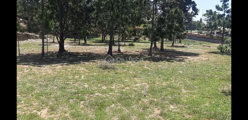 Imagem 4 de 9 de Terreno À Venda Em Dois Córregos - Te011344