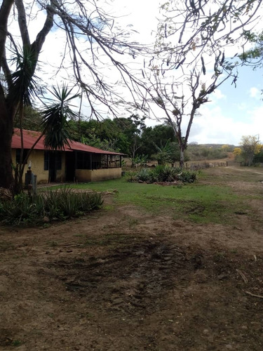 Imagen 7 de 9 de Venta De Finca En Los Cardones Ve02-021lc-mt