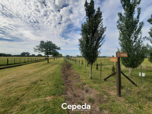 Terrenos En Loteo Chacras Don Francisco , Zapiola, Lobos, Buenos Aires