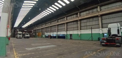 Imagen 2 de 9 de S/ Panamericana Nave De 3000 M²