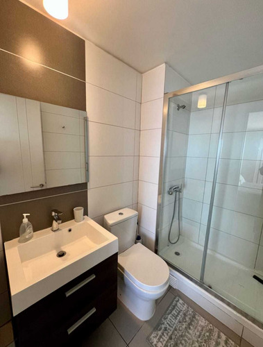Arriendo Amoblado Añor Corrido 2 D 2 B (87737)