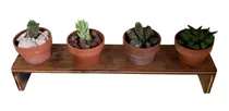 Comprar Porta Maceta Planta Cactus Suculenta Madera Cuatro C Maceta