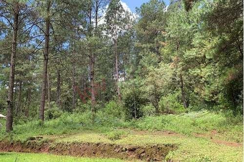 Imagen 10 de 22 de Venta De Terreno En Valle De Bravo Con Desarrollo De Rancho