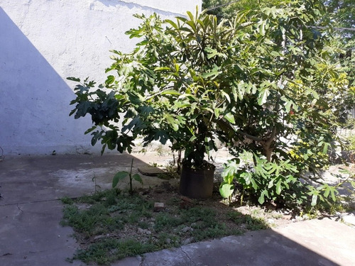 Solida Casa En Montevideo. Excelente Esquina