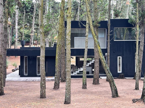 Moderna Casa En Bosque De Mar Azul