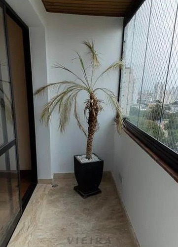 Imagem 5 de 15 de Apartamento De Alto Padrão Vila Mascote - 3509-2