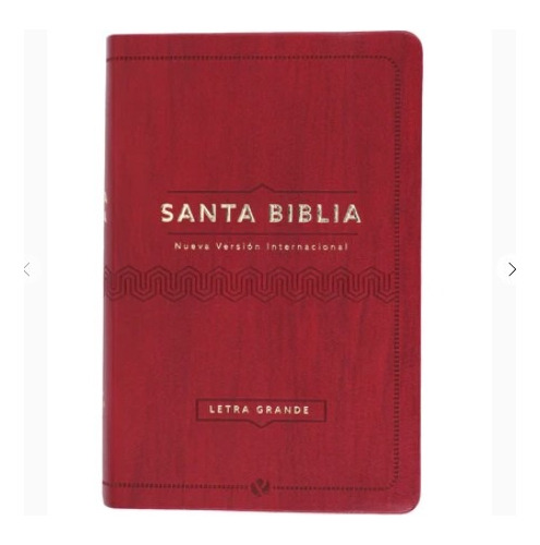 Biblia Nvi Compacta Letra Grande Vino