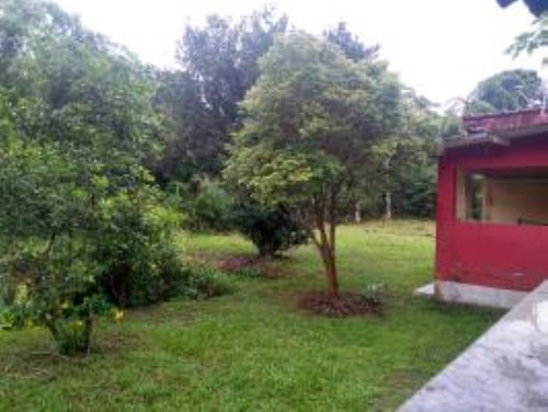 Imagem 12 de 15 de Chácara Em Itanhaém No Bairro Jardim Aguapeú, Com Tanque De Peixes, Árvores, Área De Churrasqueira, Espaço Para Piscina, Quintal Amplo Gramado Ref: 6698/ac