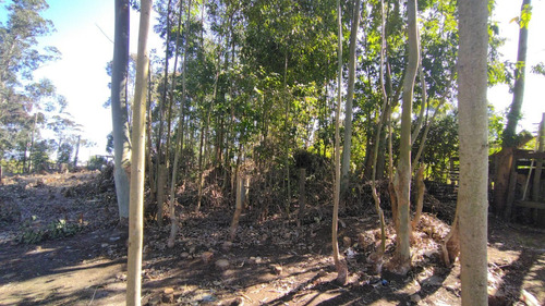 Imagen 9 de 24 de Terreno En Venta En Balneario Buenos Aires