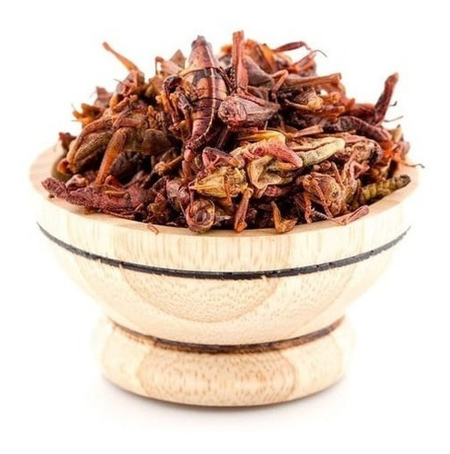 Chapulines Oaxaqueños Al Mojo De Ajo O Enchilados 250 Grs