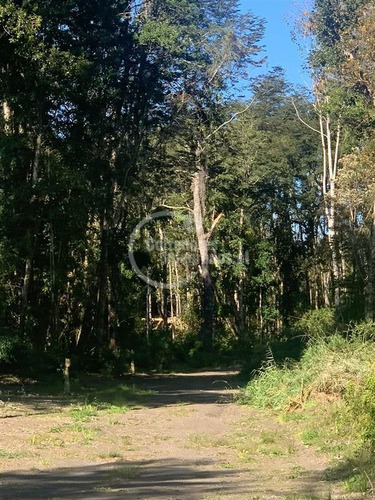 Imagen 4 de 7 de Sitio En Venta En Puerto Octay