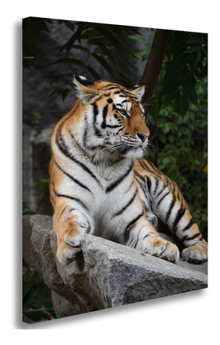 Quadro Decorativo Animal Tigre Tela Grande Paisagem Plantas Cor Preto Cor da armação Borda Infinita