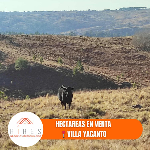 Hectáreas En Venta- Villa Yacanto