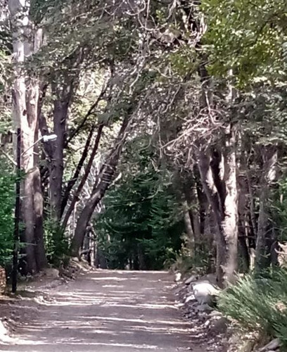 Terreno En Venta En Villa Traful Con Arboles Añejos