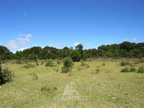 Agrícola En Venta En Hualaihue