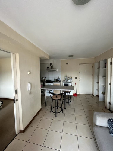Vendo Departamento Estilo Mariposa De 2 Dorm. En Concepción.