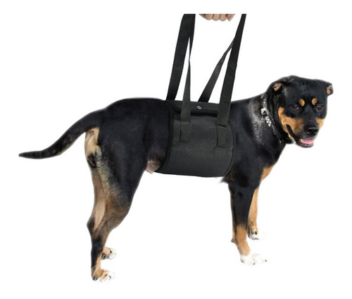 Arnés De Soporte Para Elevación De Perros Rojo L