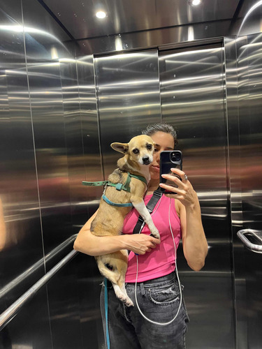 Hotel Para Tu Mascota Perro/gato ( $ 800 Por Día )
