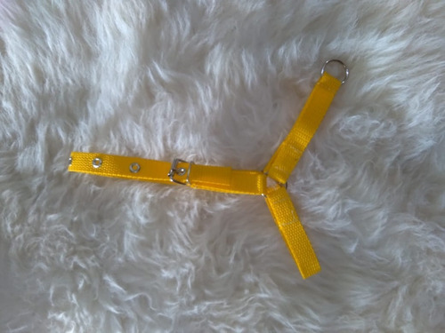 Cabresto De Mini Pônei