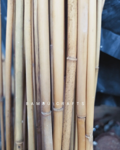 150 Varas De Bambú Chiquian Tutores Jardinería Delgadas 60cm