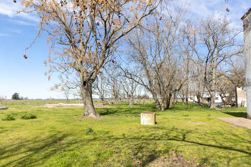Campo De 77 Hectáreas Con Mejoras En Abbott, San Miguel Del Monte