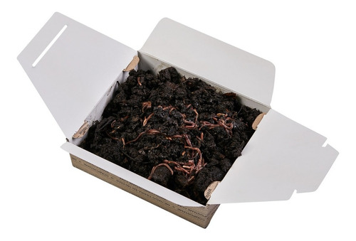 Imagen 2 de 3 de Lombrices Rojas Californianas Para Compost Red De Compostaje