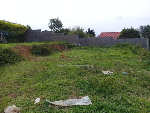 Imagem 2 de 5 de Terreno - Centro - Ref: 31570 - V-31567