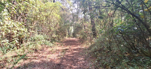 Gran Oportunidad! Terreno De 40 Hectáreas Sobre Carretera A Los Saucos