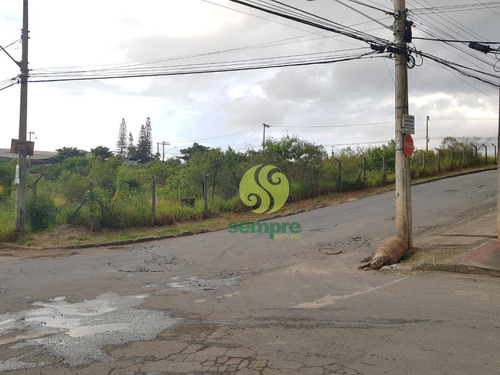 Imagem 9 de 13 de Terreno À Venda, 4.878 M² - Água Branca - Contagem/mg - Te0026
