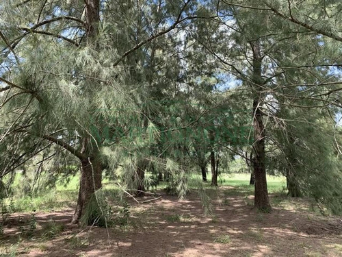 Imagen 1 de 7 de Excelente Terreno 4166m2 - La Escondida Manzanares Pilar