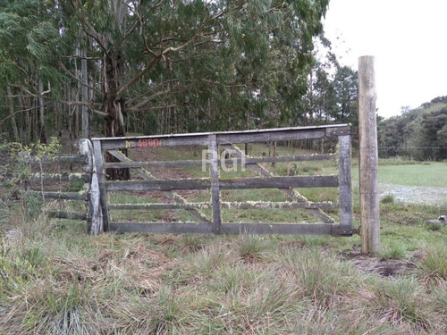 Terreno Em Primeiro Distrito - El56353457