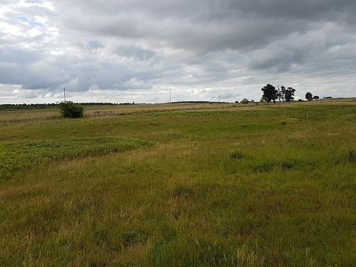 Campo En Mariscala - Lavalleja Ruta 8