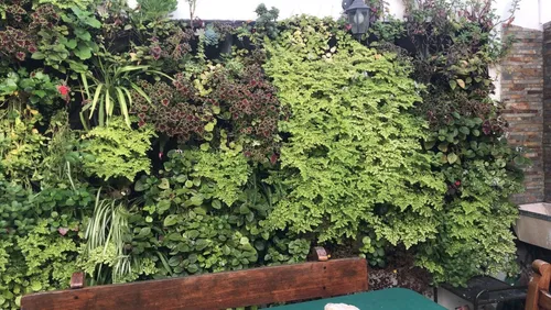 Jardines Verticales Instalacion Completa