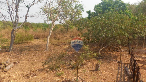 Imagem 15 de 22 de Chácara Á Venda - Várzea Grande-mt - Ch0009