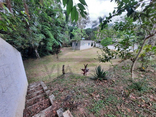 Imagem 8 de 22 de (3100 M²) Chácara Bem Localizada, Com Espaço Para Construir. - 403 - 70403710